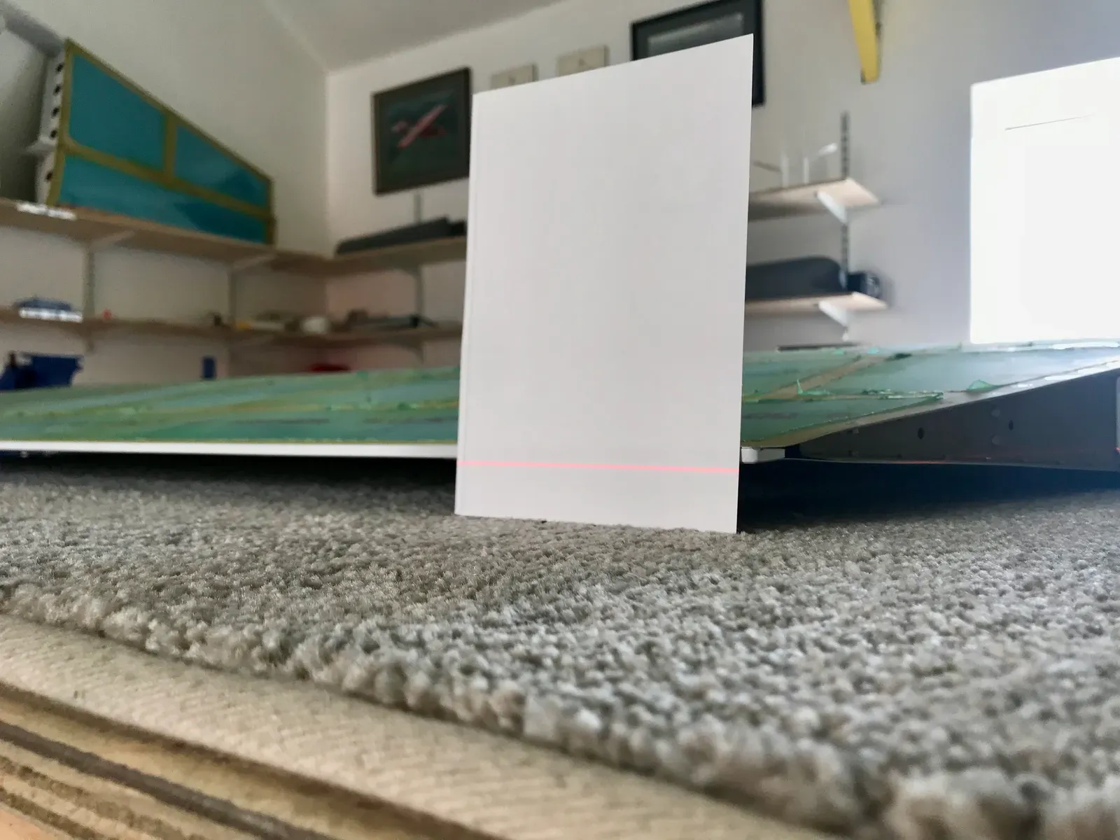 fullsizeoutput_3139