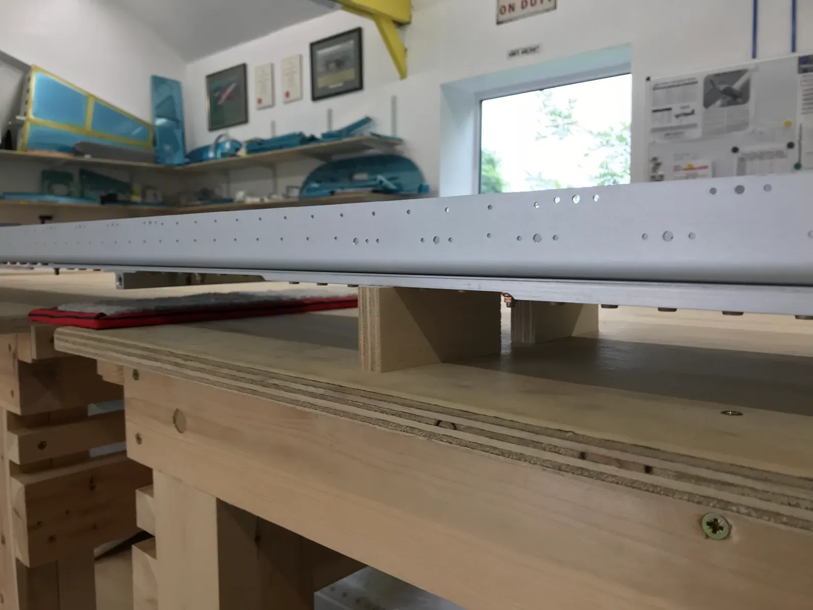 Wings started! 13-02